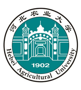 复兴河北农业大学